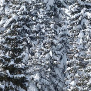 winter-wx-post-image-jpg