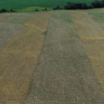 strip-trial-banner1219-150x150-1