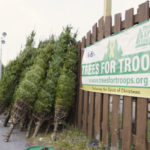 112520_treesfortroops-150x150-1