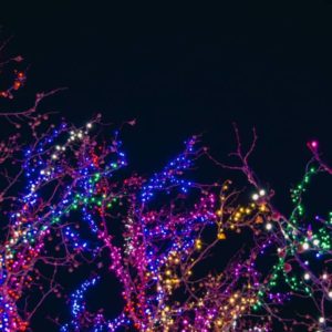 christmas-3-jpg