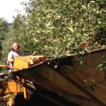 cherry-harvester-150x150-1-2