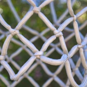 bball-net-jpg-2