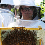 bees-u-of-i-extension-150x150-1