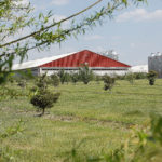 201221_windbreak_md-150x150-1