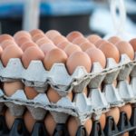 eggs-150x150-1-2