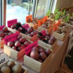 potatoes-3-150x150-1