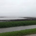 bauman-flooded-field-5-2-19-150x150-1