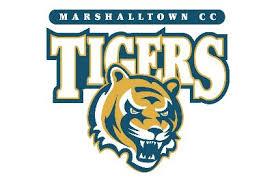 tigers-jpg