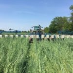 mo-soybean-cover-crops-150x150-1