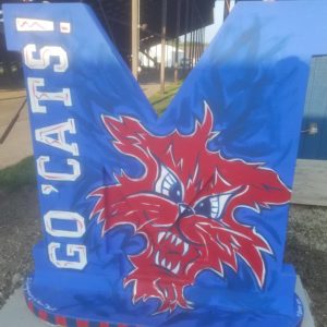 bobcats-18-jpg