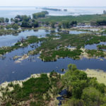 031921_ducksunlimited-150x150-1