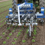 robot-weeder-150x150-1