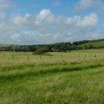 grassland-150x150-1-3