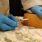 judge-pulls-cheese-core-sample-2020-world-cheese-championships-150x150-1-2