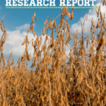 annualresearchreport_032020-150x150-1