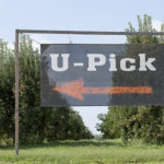agritourism-150x150-1-2