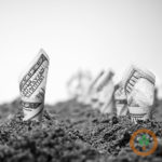 mfp400x400-3-150x150-1-18