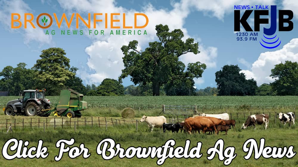 brownfield-ag-news-2021