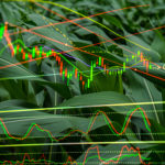 marketing2-150x150-1-3