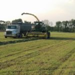 062818_alfalfa_harvest_md-150x150-1-3
