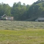 hay-harvesting-rye-grass-150x150-1