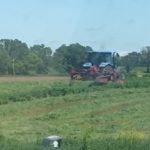 merging-hay-2021-wi-ll-waynepeterson-150x150-1