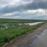 thompsonflood2021-2-150x150-1