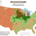 sd-drought-corn-pollination-map-150x150-1