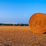 hay-bales-outside-baraboo-wi-by-erin-soto-x600-hay-bales-150x150-1