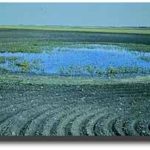 epa-prairie-pothole-150x150-1