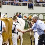 081721_indianastatefair-150x150-1