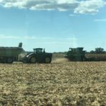 furches-harvest-21-2-150x150-1