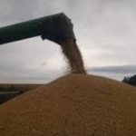 harvest-150x150-1