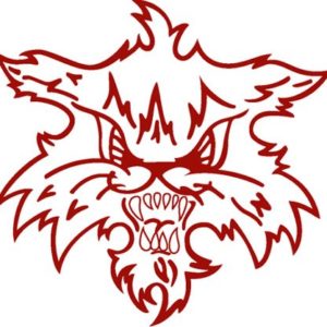 bobcat-jpg-6