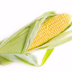 corn-stencil-facebook-post-jpg-5