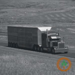 livestocktransportation-150x150-1-11