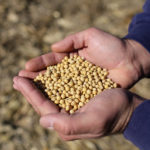 35391170676_51d6179673_c-1-150x150-1