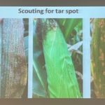 mu-tar-spot-150x150-1
