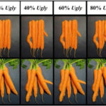 ugly-carrots-oh-state-150x150-1