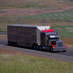 livestocktransportation-150x150-1-15