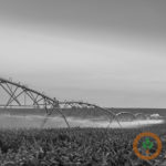 water400x400-150x150-1-4