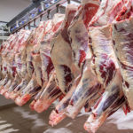 beefpacker-150x150-1-27