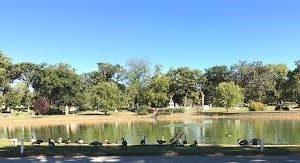 riverside-cemetery-jpg-2