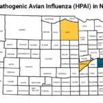 hpai-ne-map-150x150-1
