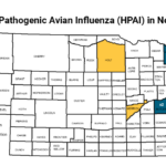 hpai-ne-map2-150x150-1
