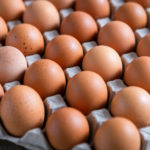 041322_browneggs_-150x150-1