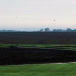 homepage_2013_central_il_corn_fields-150x150-1