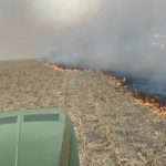 tenbenselfire-3-150x150-1