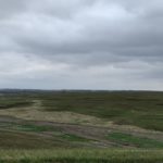 pasture-growth-after-fire-150x150-1