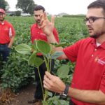 uw-weed-scientist-rodrigo-werle-at-dicamba-field-demonstration-150x150-1-3
